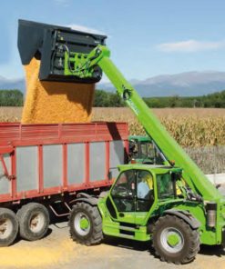 Merlo professional