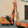 Agrimaster golden shark