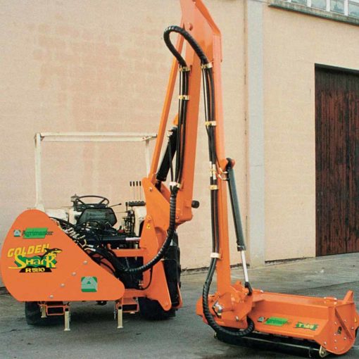 Agrimaster golden shark